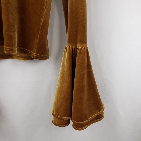 Torn by Ronny Kobo Velvet Flare Sleeve Top - Picture 9 of 9